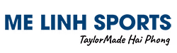Final Logo MLS copy