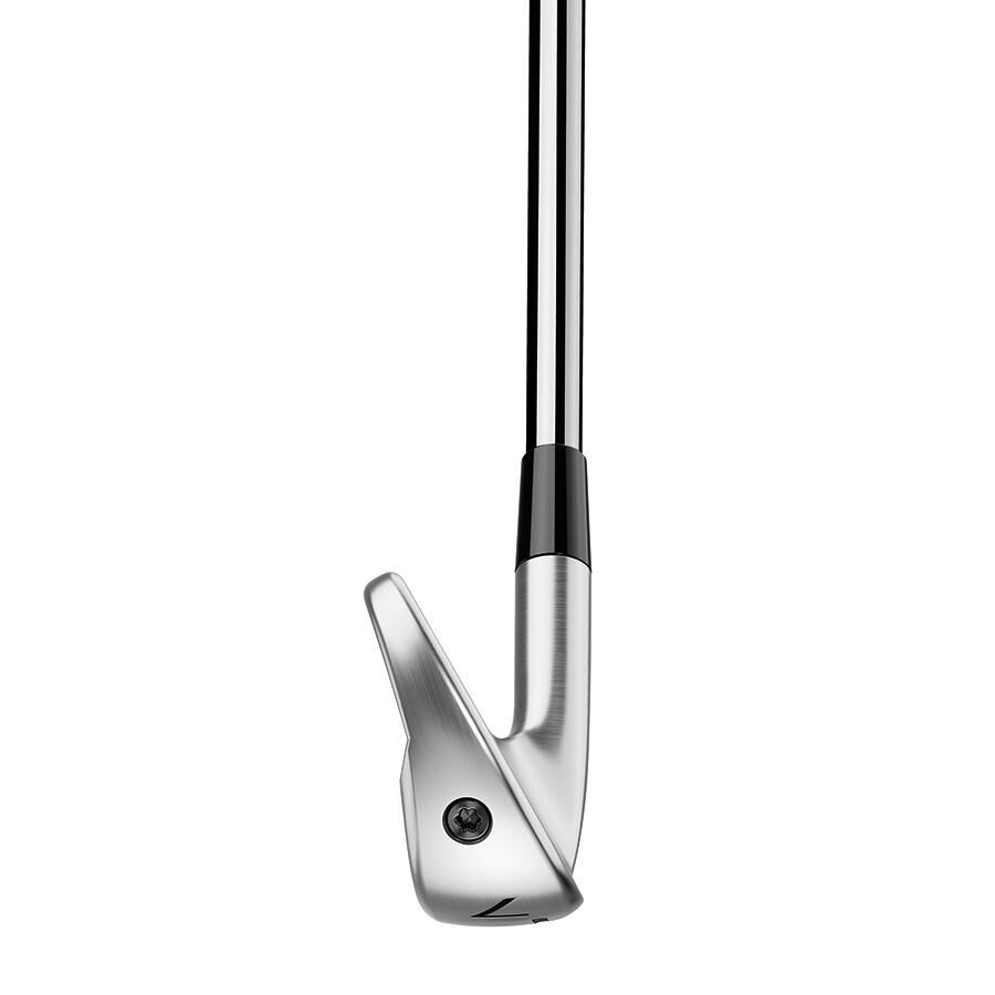 Iron P790 NEW25 (2025) TaylorMade